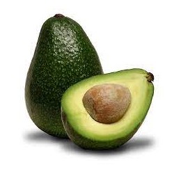 Abacate Avocado