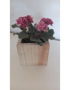 Acessórios para jardins